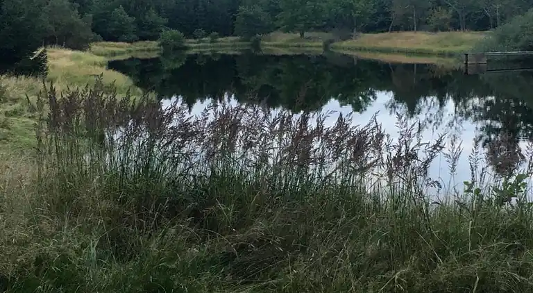 Sommerhus i Mezihoří