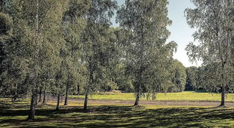 Semesterbostad i Nové Křečany