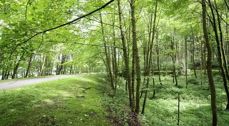 Sommerhus i Falkenstein