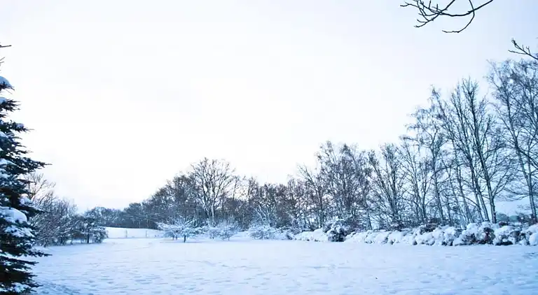 Sommerhus i Falkenstein