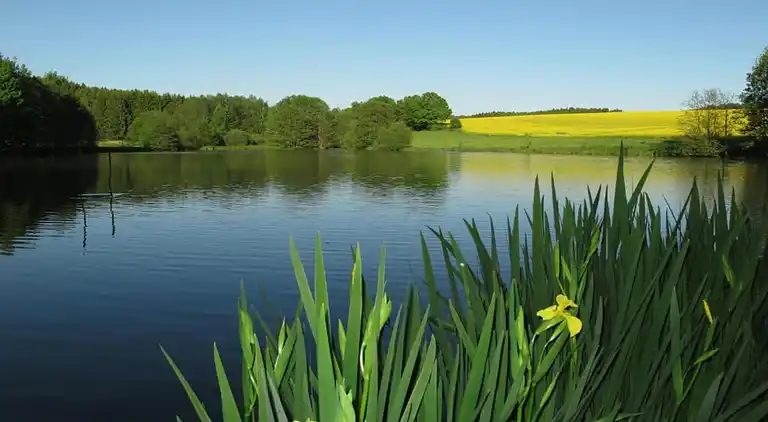 Sommerhus i Falkenstein