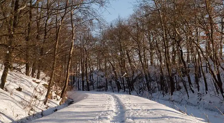 Sommerhus i Falkenstein