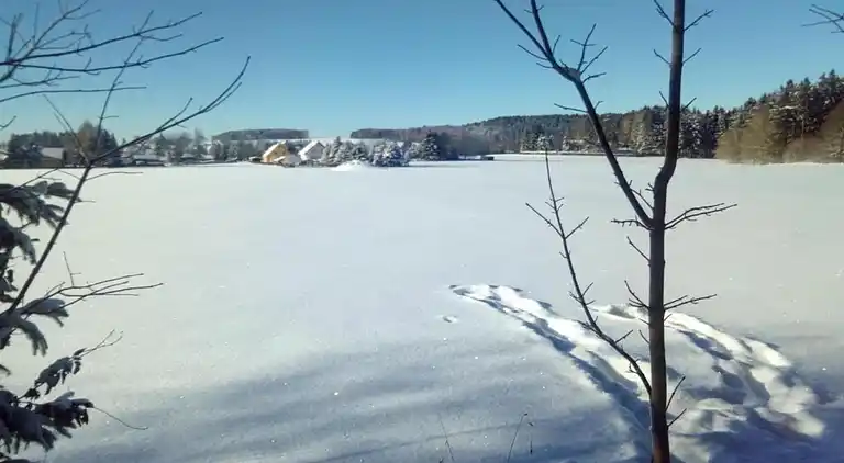Sommerhus i Falkenstein