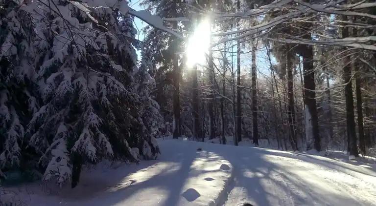 Sommerhus i Falkenstein