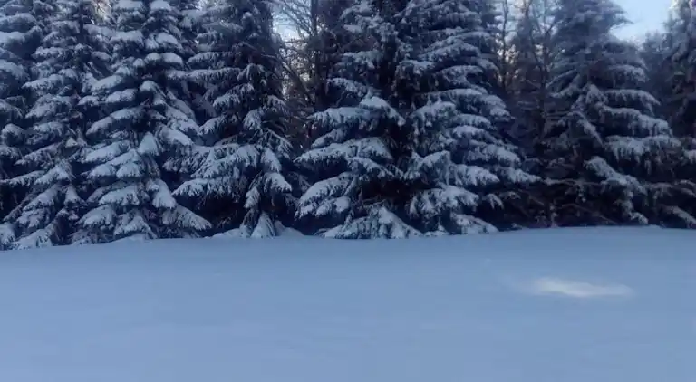Sommerhus i Falkenstein