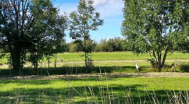 Villa in a cozy village in Southern Jutland.