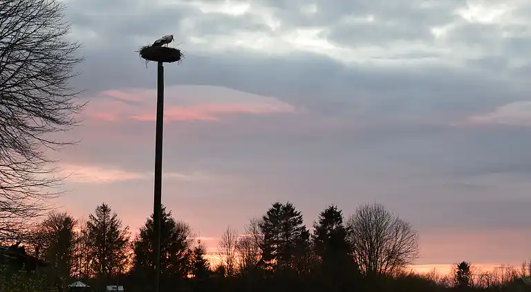 Villa in a cozy village in Southern Jutland.