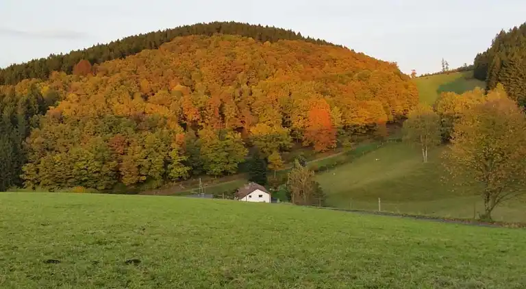Ferielejlighed i Bruchhausen