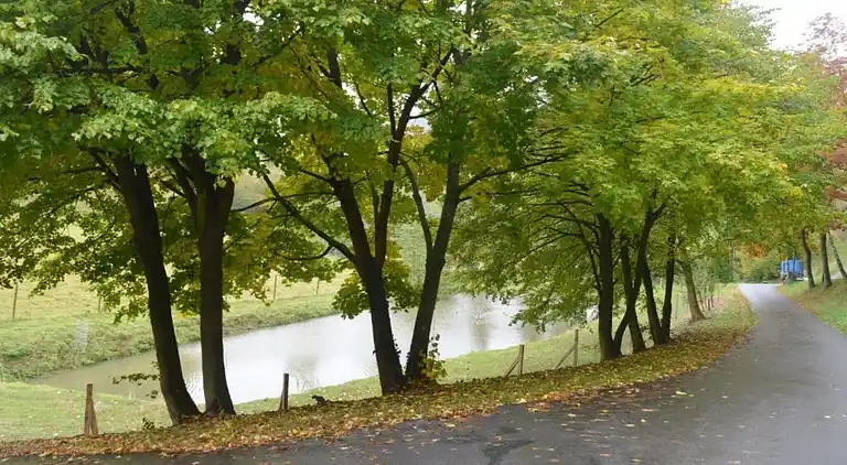 Ferielejlighed i Bruchhausen