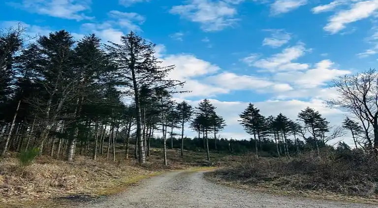 Ferielejlighed i Bruchhausen