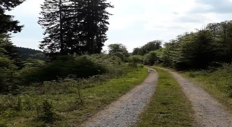 Ferielejlighed i Elpe