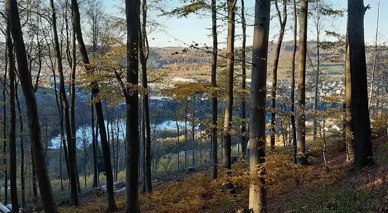 Ferielejlighed i Elpe