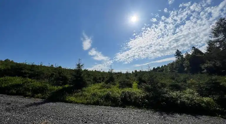 Ferielejlighed i Elpe