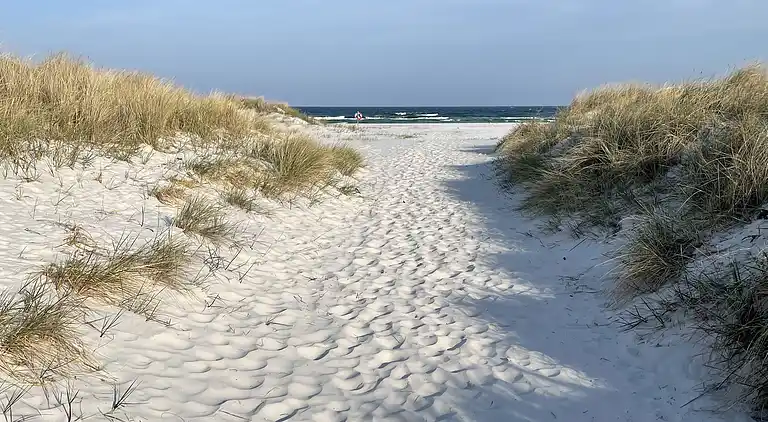 Feriehus nær stranden – perfekt til afslapning