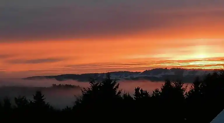 Apartment in Frauenwald