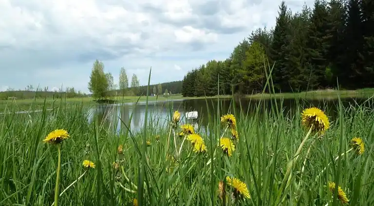 Lägenhet i Wolfsberg