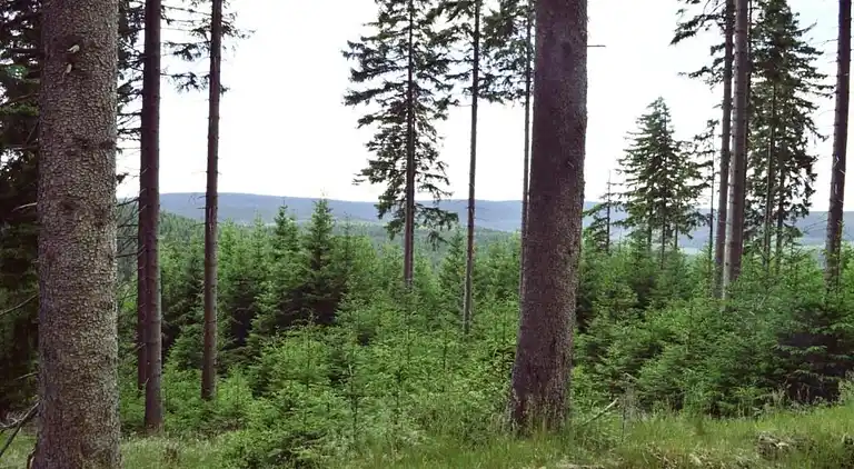 Holiday home in Möhrenbach
