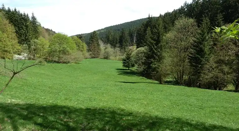 Lägenhet i Wolfsberg