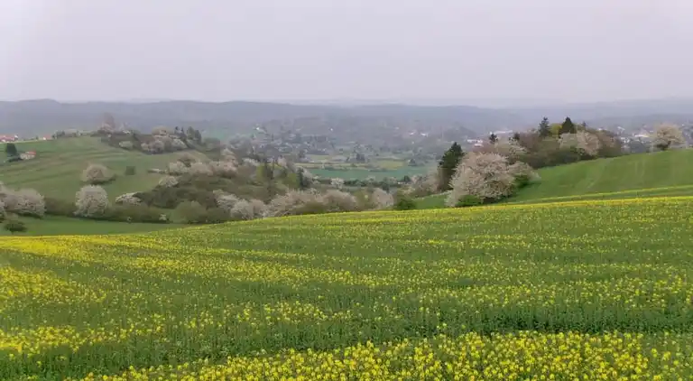 Holiday home in Möhrenbach