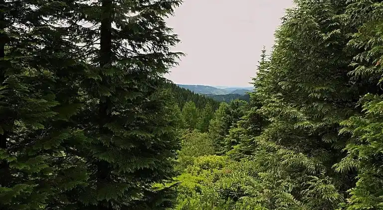 Lägenhet i Wolfsberg