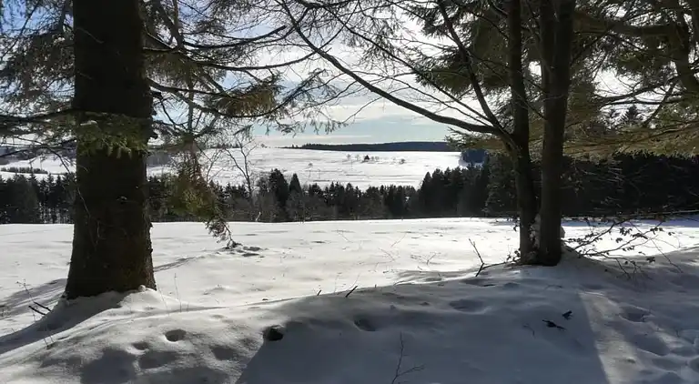 Apartment in Frauenwald