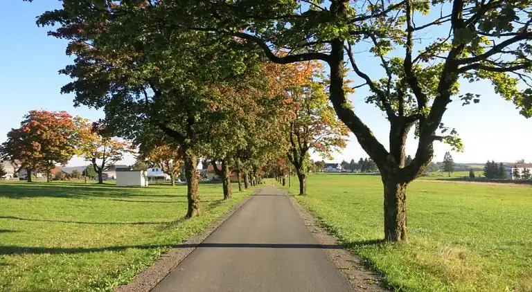 Apartment in Frauenwald