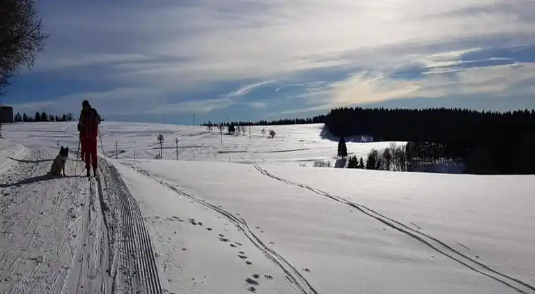 Apartment in Frauenwald