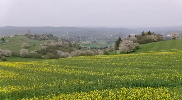Apartment in Frauenwald