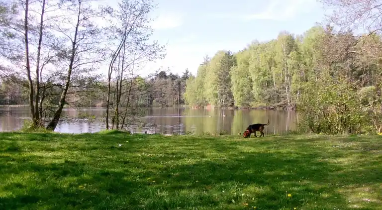 Apartment in Frauenwald