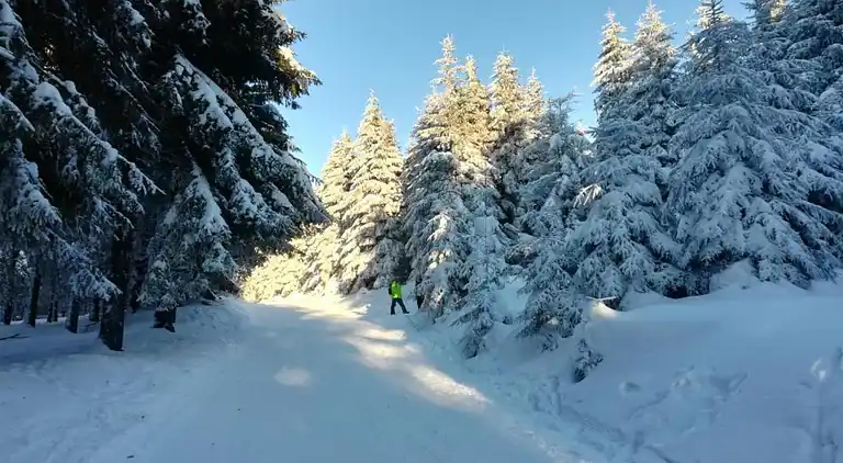 Apartment in Frauenwald