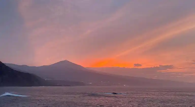 Holiday home in Tacoronte