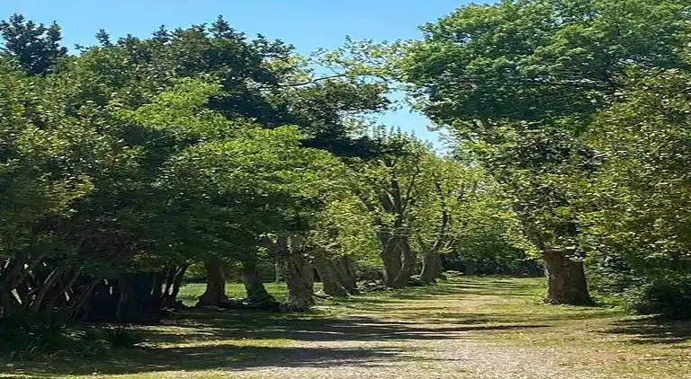 Holiday home in Lézignan-Corbières