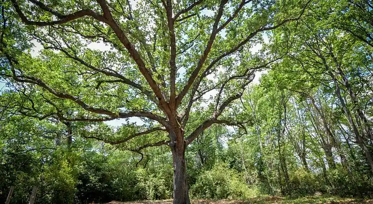 Holiday home in Lézignan-Corbières