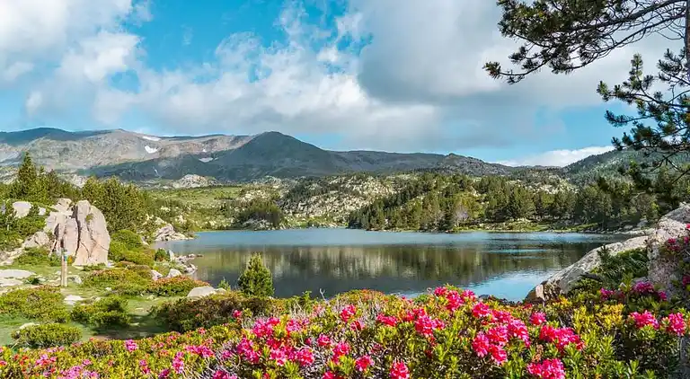 Holiday home in Occitanie