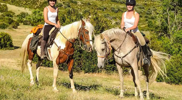 Holiday home in Occitanie