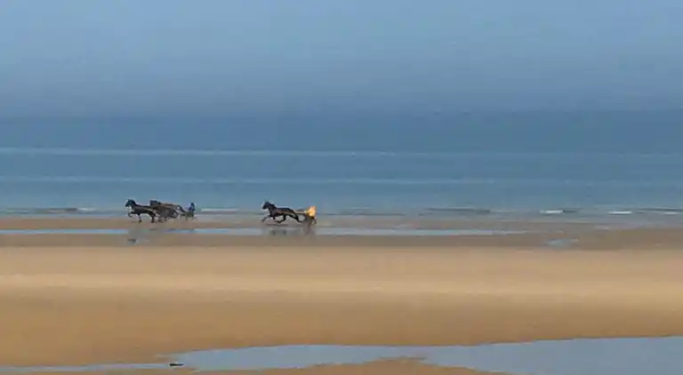 Ferienwohnung in Petiville