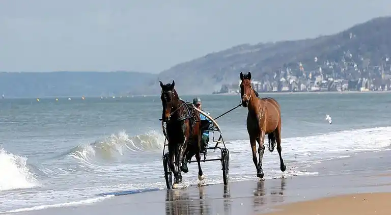 Ferienwohnung in Petiville