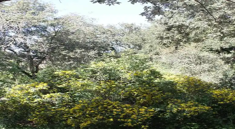 Casa de vacaciones en Uzès