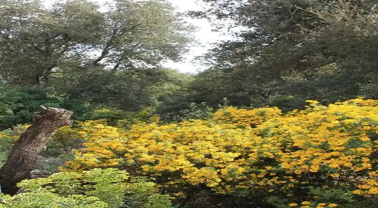 Casa de vacaciones en Uzès
