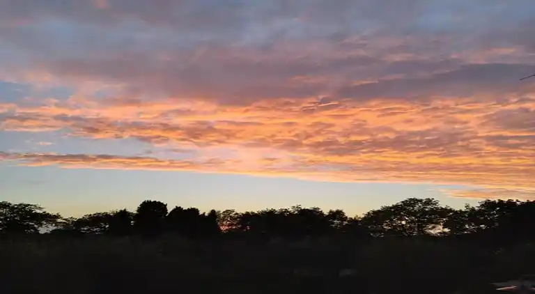 Feriebolig i Donoratico