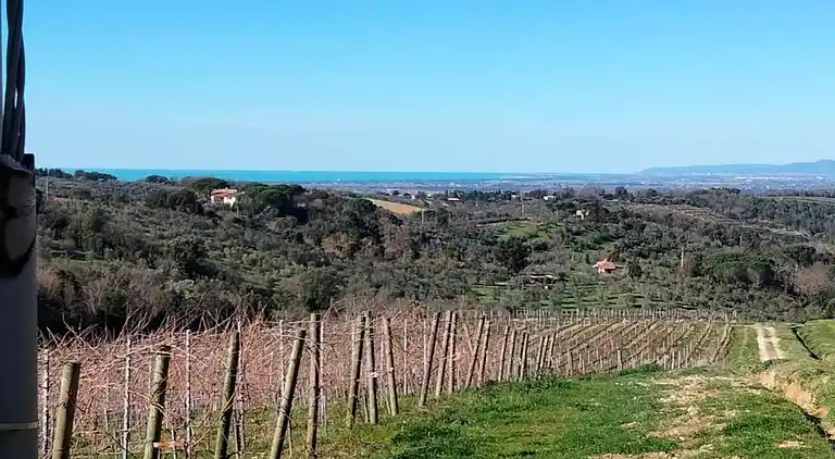 Feriebolig i Donoratico