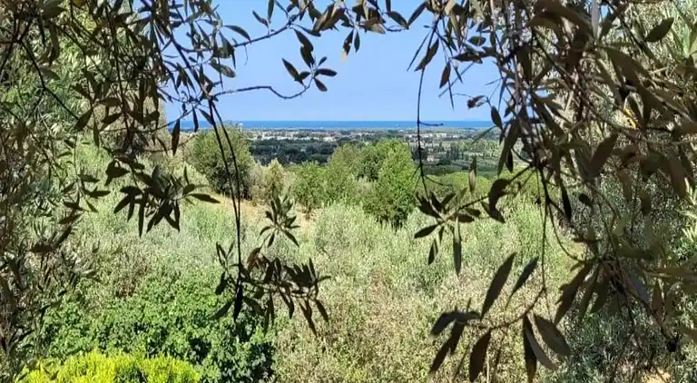 Feriebolig i Donoratico