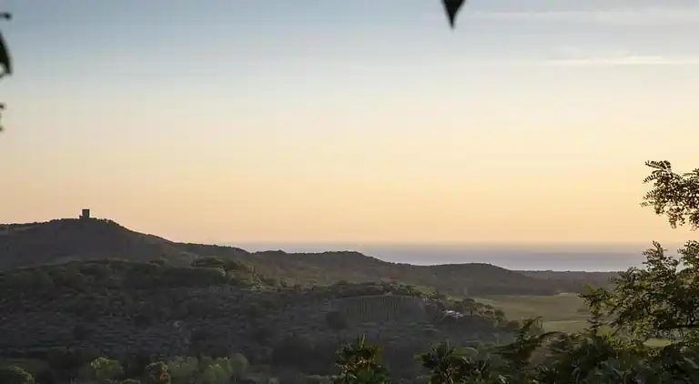 Feriebolig i Donoratico