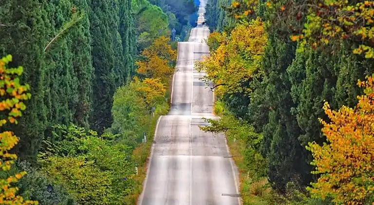 Feriebolig i Donoratico