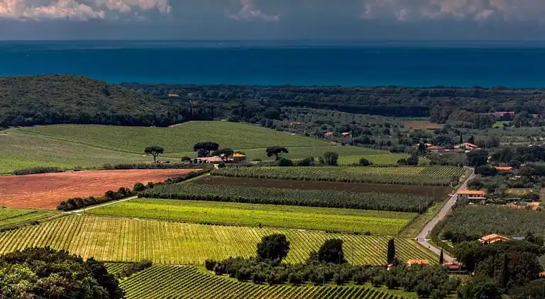 Feriebolig i Donoratico