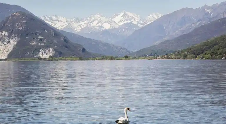 Holiday home in Verbania