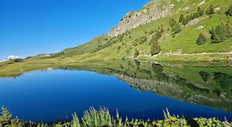 Feriebolig i Grengiols