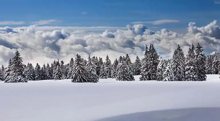 Feriebolig i Grengiols