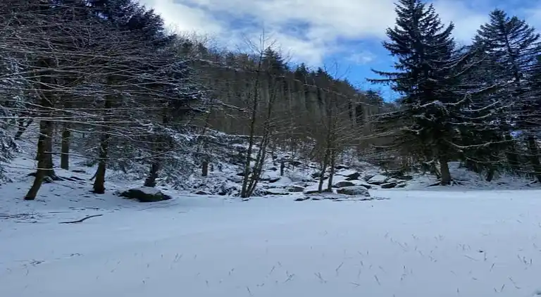 Sommerhus i Walthersdorf