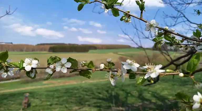 Sommerhus i Walthersdorf